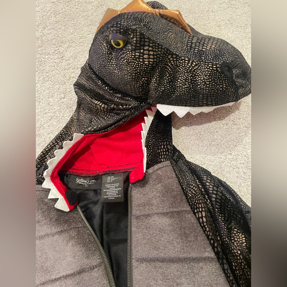Dinosaur Halloween Costume for Kids Size 4T Black & Gold - Picture 4 of 6